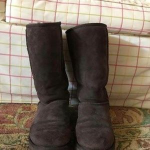 Women's Chocolate Brown Uggs
